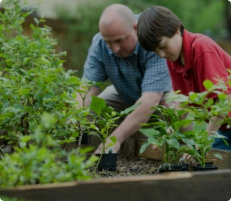 fertilizer and pesticide